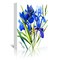 Irises Blue  by Suren Nersisyan  Gallery Wrapped Canvas - Americanflat